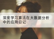 深度学习算法在大数据分析中的应用日记