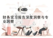 财务实习报告深度洞察与专业洞察
