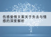 伤感爱情文案关于失去与情感的深度解析