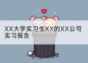 XX大学实习生XX的XX公司实习报告