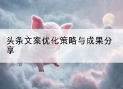头条文案优化策略与成果分享