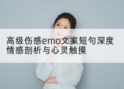 高级伤感emo文案短句深度情感剖析与心灵触摸
