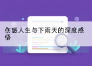 伤感人生与下雨天的深度感悟
