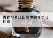青春与梦想伤感中的寻觅与期盼