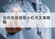 如何高效提取小红书文案精髓