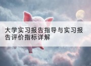 大学实习报告指导与实习报告评价指标详解