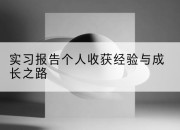 实习报告个人收获经验与成长之路