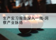 生产实习报告深入一线-洞察产业脉络