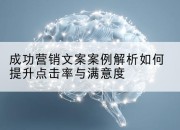 成功营销文案案例解析如何提升点击率与满意度