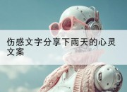 伤感文字分享下雨天的心灵文案