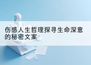 伤感人生哲理探寻生命深意的秘密文案
