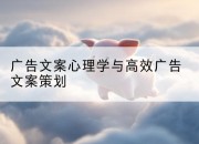 广告文案心理学与高效广告文案策划
