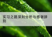 实习之路深刻分析与感谢辞别