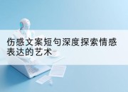 伤感文案短句深度探索情感表达的艺术