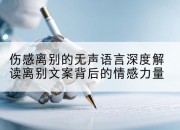 伤感离别的无声语言深度解读离别文案背后的情感力量