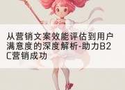 从营销文案效能评估到用户满意度的深度解析-助力B2C营销成功