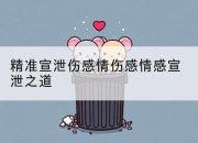 精准宣泄伤感情伤感情感宣泄之道