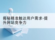 揭秘精准触达用户需求-提升网站竞争力