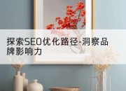探索SEO优化路径-洞察品牌影响力