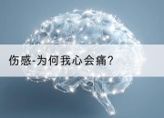伤感-为何我心会痛？